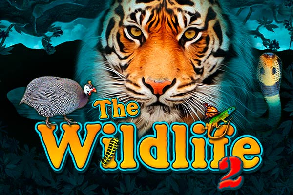 Слот The wildlife 2 от провайдера Belatra в казино Vavada