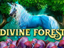 Divine Forest