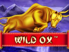 Wild Ox