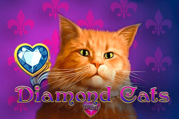 Слот Diamond Cats от провайдера Amatic в казино Vavada