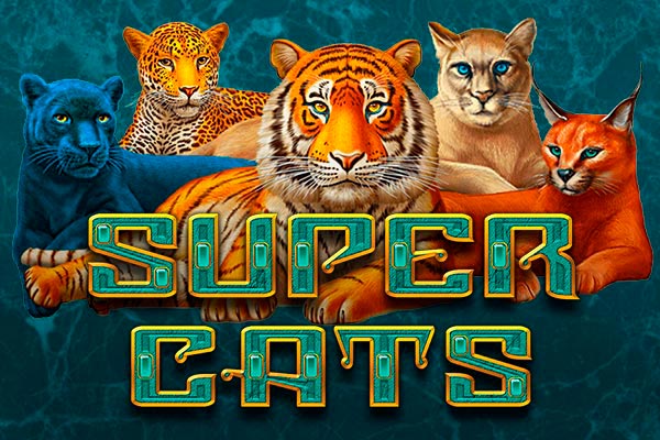 Слот Super Cats от провайдера Amatic в казино Vavada