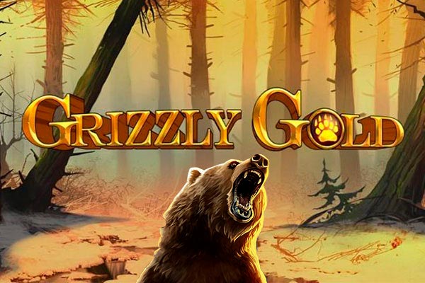 Слот Grizzly Gold от провайдера Blueprint Gaming в казино Vavada