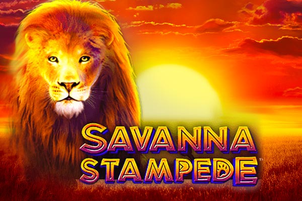 Слот Savanna Stampede от провайдера Blueprint Gaming в казино Vavada