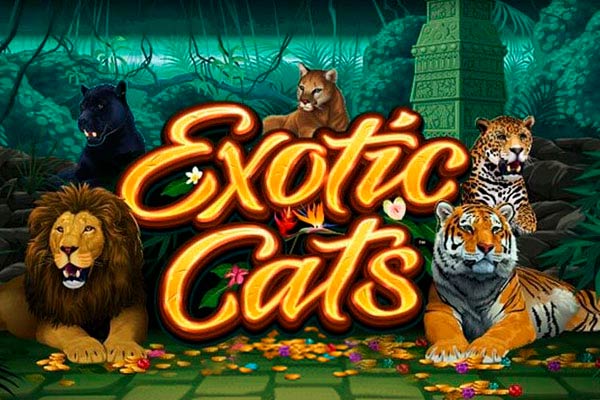 Слот Exotic Cats от провайдера Microgaming в казино Vavada