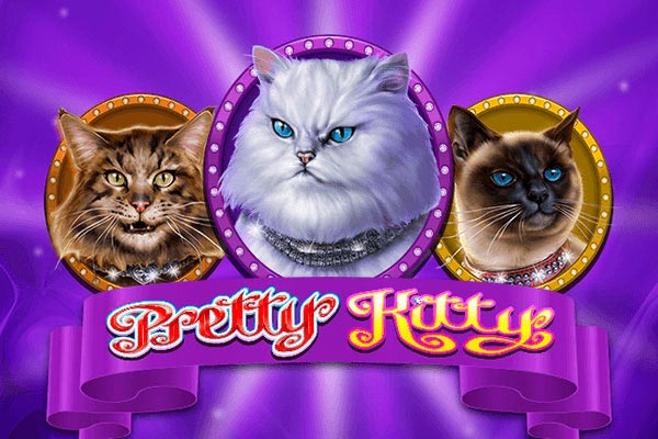 Слот Pretty Kitty от провайдера Microgaming в казино Vavada