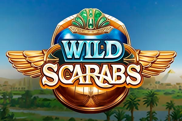 Слот Wild Scarabs от провайдера Microgaming в казино Vavada