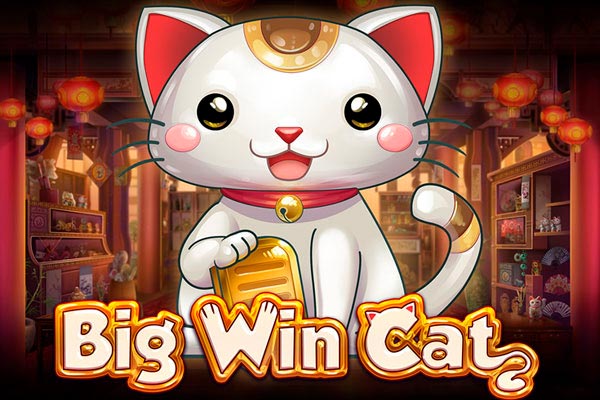 Слот Big Win Cat от провайдера Playn'Go в казино Vavada