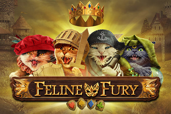 Слот Feline Fury от провайдера Playn'Go в казино Vavada