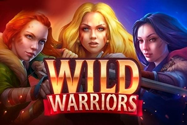 Слот Wild Warriors от провайдера Playson в казино Vavada