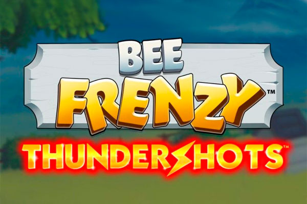 Слот Bee Frenzy от провайдера Playtech в казино Vavada