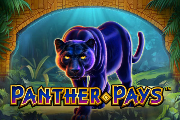 Слот Panther Pays от провайдера Playtech в казино Vavada