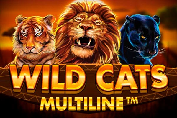 Слот Wild Cats Multiline от провайдера Redtiger в казино Vavada
