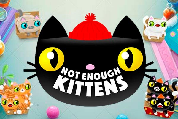 Слот Not Enough Kittens от провайдера Thunderkick в казино Vavada
