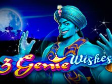 3 Genie Wishes