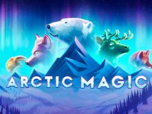 Arctic Magic