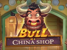 Bull in a China Shop