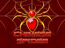 Chinese Spider