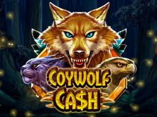 Coywolf Cash