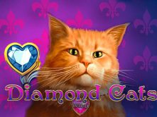 Diamond Cats