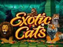 Exotic Cats