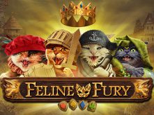 Feline Fury