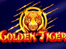 Golden Tiger