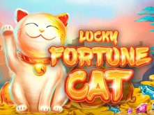 Lucky Fortune Cat