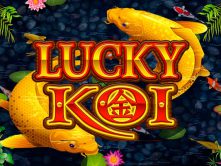 Lucky Koi