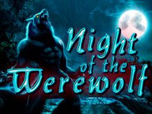 Night Of The WereWolf
