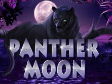 Panther Moon