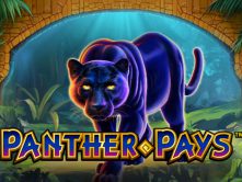 Panther Pays