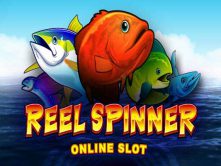 Reel Spinner