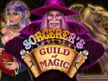 Sorcerer’s Guild of Magic