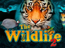 The wildlife 2