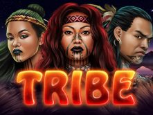 Tribe