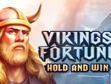 Viking Fortune: Hold and Win