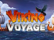 Viking Voyage