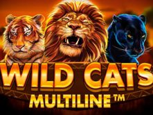 Wild Cats Multiline