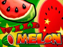 Wild Melon