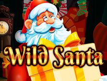 Wild Santa