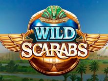 Wild Scarabs