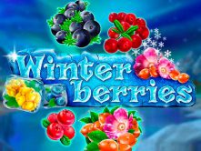 Winterberries